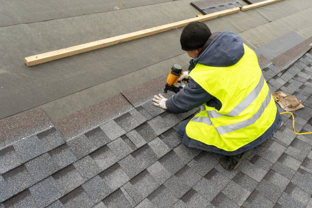 Best Shingle Roofing Installation  in Detroit Lakes, MN
