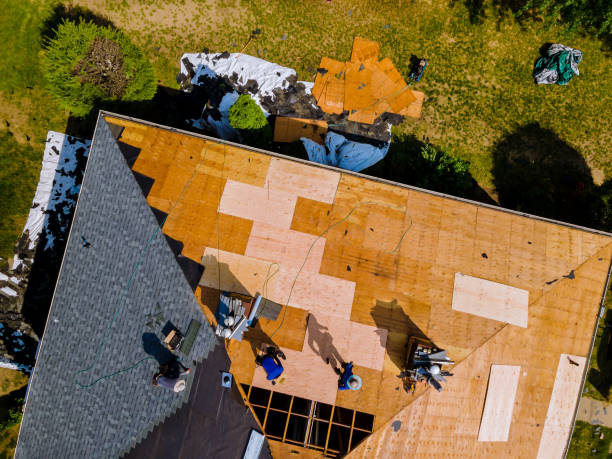 Best Flat Roof Repair Services  in Detroit Lakes, MN
