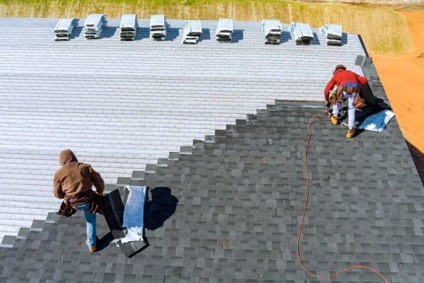 Best Roof Restoration Services  in Detroit Lakes, MN