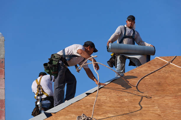Best Best Roofing Contractors  in Detroit Lakes, MN