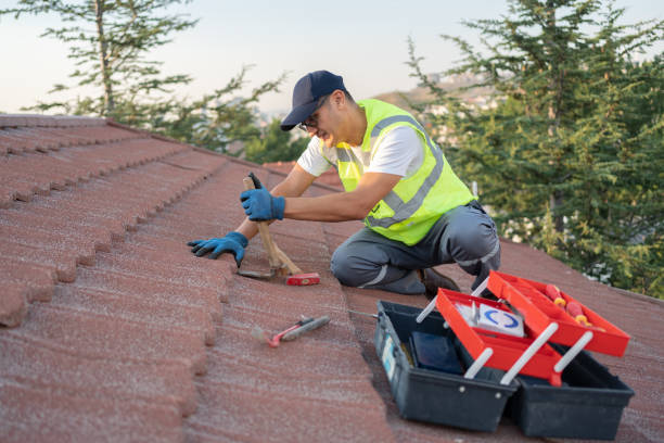 Best Residential Roofing Contractor  in Detroit Lakes, MN