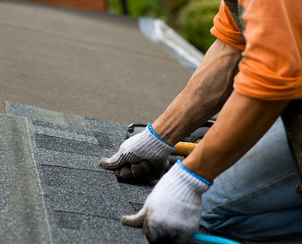 Best Metal Roofing Contractor  in Detroit Lakes, MN