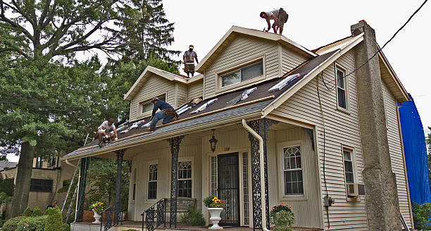Best New Roof Installation  in Detroit Lakes, MN